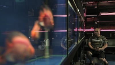 Fish cosmetic surgeon Eugene Ng poses for a photograph with highly prized Arowana fish in his shop, Ark Aquatics, in Singapore. Known as Dr Ark to his customers, the fish specialist has been in the industry for two decades and operates exclusively on Arowana fish which are among the world's most expensive aquarium fish. Much of his fish surgery work is cosmetic, procedures like eye lifts, to enhance their beauty for their owners, costing anywhere from 30-160 euros. Arowana fish are status symbols, a luxury prestige possession among many Asian businessmen of Chinese descendancy, and can cost up to tens of thousands of Singapore dollars. Wallace Woon / EPA