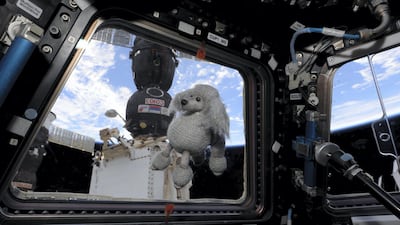 And he delighted fans with this poodle on his 2018 mission. In total he spent more than 530 days in space - and 14 hours floating outside the station on repair and expansion work. Anton Shkaplerov / Roscosmos