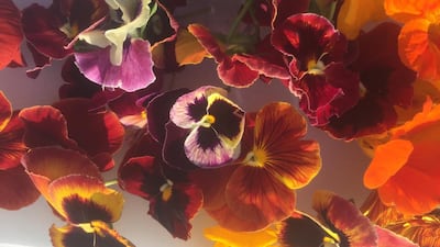 A range of edible flowers used by Carol Hyland. Courtesy Carol Hyland