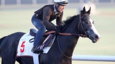 Meandre took sixth behind Animal Kingdom at the Dubai World Cup and local trainer Doug Watson will take on the horse before a race in Singapore next month. Jaime Puebla / The National