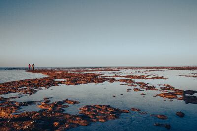 Flydubai is launching flights to Iran's Kish Island in September. Photo: Flydubai