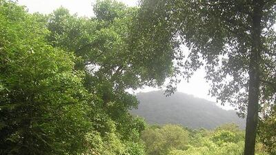 The view from the living room at Sai Sanctuary. Courtesy Sai Sanctuary