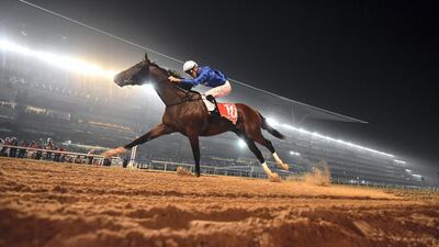 Thunder Snow has now won the past two Dubai World Cups. AFP