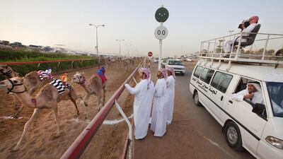 A close finish at the RAK camel race track is watched by the judges, with a commentator and a camera man, during an early morning camel race there. The sport is growing in popularity among Emiratis. Jaime Puebla / The National