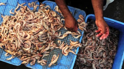 A Saudi vendor sells shrimp at a seafood market in Dammam. Reuters