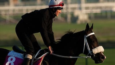 Tom Queally, at 27, may be considered a late bloomer as a jockey of renown, but he is making up for lost time.