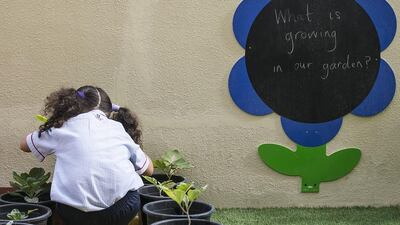 A new programme called Sandy Seeds has been introduced at Ranches Primary School in Dubai. There are plans to introduce the “mindful ecological education programme” to select UAE public and private schools by September. Mona Al Marzooqi / The National / February 22, 2017