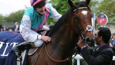 Frankel won the Lockinge Stakes at Newbury, England, last month - his sixth straight victory - and runs in Tuesday's Queen Anne Stakes at Royal Ascot. George Shelton / Racingfotos.com
