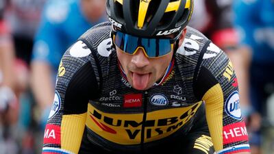 Team Jumbo–Visma rider Primoz Roglic in action. Reuters