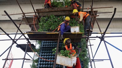 A plan to plant more than five million flowers under the newly constructed Nairobi expressway in Kenya gets under way. Reuters