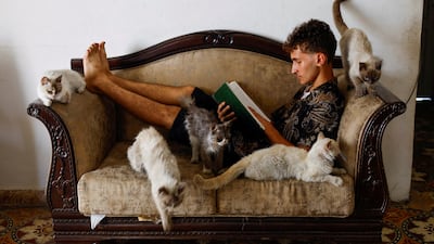 Asef, son of Palestinian Raneya Murad who cares for her cats amid food scarcity and hunger crisis, rests on a couch beside them in Gaza city. Reuters