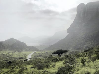Caption: Trygve Harris distills dark frankincense from the cliffs of Fazayah, east of Salalah. Anna Zacharias / The National
