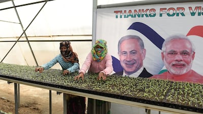 Workers tend to seedlings in front of a banner showing Israeli prime minister Benjamin Netanyahu and Indian prime minister Narendra Modi at the campus of the Centre of Excellence for Vegetables at Vadrad village in Gujarat. The Israeli prime minister is scheduled to visit the centre with Mr Modi during his visit to India starting on January 14, 2018. Sam Panthaky / AFP