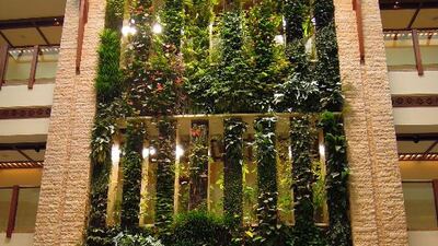 Courtesy of Paatrick Blanc