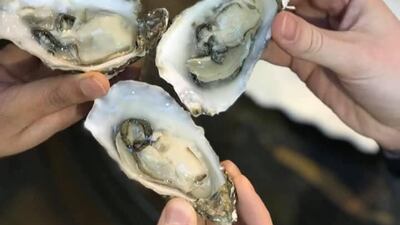 New Tourism Business of the Year finalist - Triple A Food Tours, Tyne & Wear.