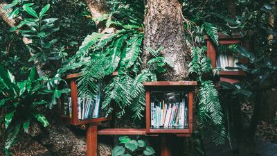 A list of 2021 books on the theme of climate change. Hitoshi Suzuki / Unsplash