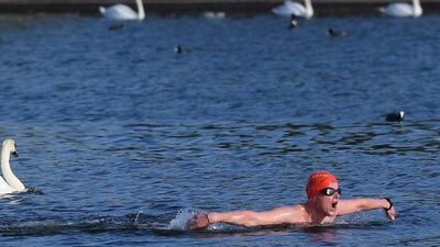 A swimmer takes an early morning dip in the Serpentine Lake in Hyde Park in London. Toby Melville / Reuters