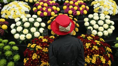 LONDON, ENGLAND - MAY 20: Visitor Sue Brown looks at a stand at the Chelsea Flower Show on May 20, 2013 in London, England. The Chelsea Flower Show run by the RHS, (Royal Horticultural Society) celebrates its 100th birthday this year. (Photo by Dan Kitwood/Getty Images)
