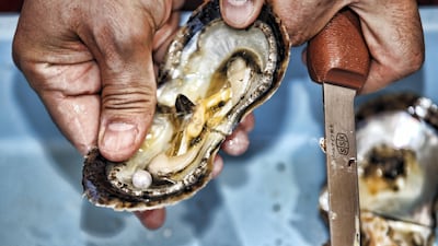 A manufactured pearl is revealed in a farmed oyster shell at Al Suwaidi Pearl Farm. Courtesy Ministry of Climate Change and Environment