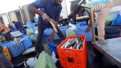 Fishermen want to be able to work more all year round and have asked for a lifting on restrictions. Sammy Dallal / The National