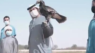 The eagle was tagged and released by Dubai Falcon Hospital.