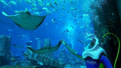 Aquatrek Xtreme at Atlantis, The Palm allows visitors to descend 10 metres under water. Courtesy Atlantis, The Palm