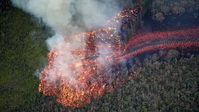 A massive flow of fast moving lava consumes everything in its path as it enters a forest, Pahoa, Hawaii, USA, 19 May 2018. The ongoing eruption of Kilauea is the largest in decades, destroying more than 40 homes to date, and displacing thousands. Bruce Omori / EPA