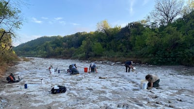 Between 120 to 100 million years ago, dinosaurs lived in the coastal shallows and offshore islands of Texas and left footprint evidence for geo-detectives to investigate. Photo: Dinosaur Valley State Park
