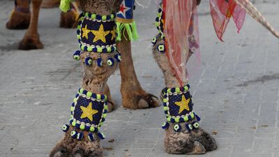 A camel adorned with colourful ornaments is paraded through the streets. Reuters