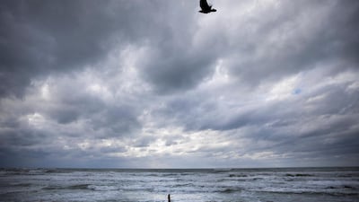 A man takes a dip in the Mediterranean Sea in stormy weather in Tel Aviv, Israel, Sunday, Feb. 9, 2020. (AP Photo/Oded Balilty)
