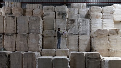 An employee checks the quality of raw cotton at a warehouse in Gujarat, India. Reuters
