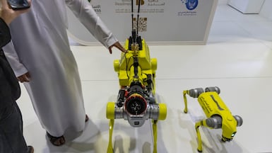 Firefighting robot dogs will soon be part of Dubai Civil Defence's tools to tackle blazes in the emirate. Antonie Robertson / The National