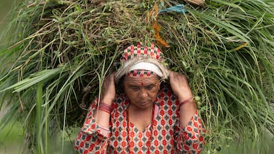 A farmer returns from the field near Kathmandu, before Nepal’s rice planting season, which is likely to be affected by the chemical fertiliser shortage triggered by Middle East tensions. EPA