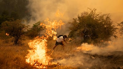 A resident battles a wildfire in Grebenac, Serbia, amid heatwaves across Europe. Reuters