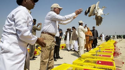 Retired Brigadier and President of the Houbara Foundation International Pakistan Mukhtar Ahmed, center, releases Asian Houbara bred in Abu Dhabi by the International Fund for Houbara Conservation are released in Lal Sohanra National Park in near Bahawal Pur, Pakistan on March 18, 2015. 600 Houbara, 250 chinkara Gazelle and 50 Black Buck were released through a partnership between the UAE and Pakistan governments.