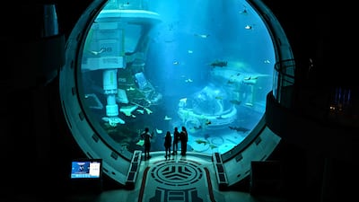 Visitors at the SeaWorld marine life theme park on Yas Island, Abu Dhabi. AFP