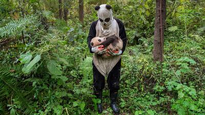 Ami Vitale's 'Rewilding' captures a moment at the Wolong’s Hetaoping center in Sichuan Province, where captive-bred bears training for life in the wild are kept relatively sheltered from human contact, even during a rare hands-on checkup. Photographer: Ami Vitale