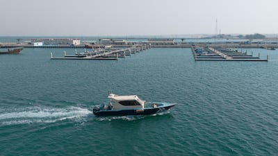 The developments are central to a wider vision to harness the potential of Al Dhafra's natural resources