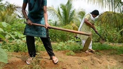 Female farmers work the land in the Nadathara area of Kerala, India.