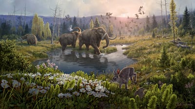 An artist's rendition of Kap København Formation two million years ago. Photo: Beth Zaiken
