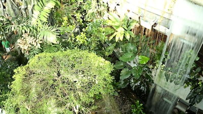 The Green Planet has launched an multi-species exhibit of Australian animals. Courtesy The Green Planet