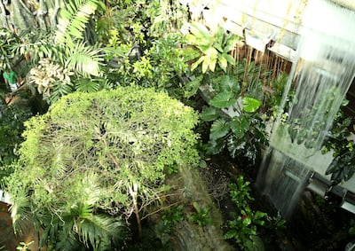 The Green Planet has launched an multi-species exhibit of Australian animals. Courtesy The Green Planet