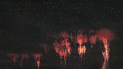 Nathan Myrhvold took a photo of these magnificent red jellyfish sprites near Lake DeSmet in Wyoming, the US.