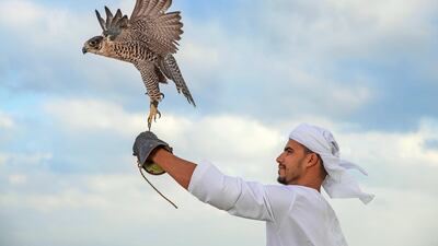 Guests can learn about falconry from a master falconer.