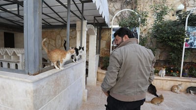 As the war raged in Syria and cat lovers fled the city, he was left with 170 cats to feed and a new nickname: the Cat Man of Aleppo. AFP