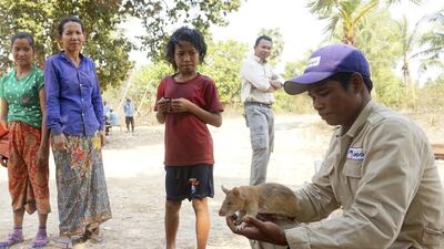 A handler shows one of the 'de-mining' rats to Cambodian villagers.