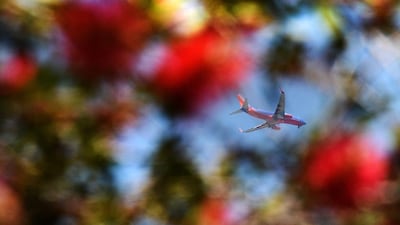 A passanger plane, seen through a blooming bush, flies low as it prepares for a landing in Los Angeles, California. Aviation war insurance brings in annual premiums of about $60m. Joe Klamar / AFP