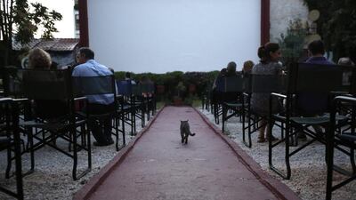 A cat walks up an aisle at the Zefyros vintage-movie cinema in Ano Petralona.