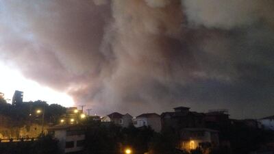 The incident began as a forest fire on the road La Polvora, but strong wind made it propagating in the populated hills areas of La Cruz, El Vergel and Mariposas. (EPA / April 12, 2014)