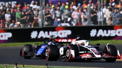 Ducks walk near the track during the qualifying session at the Australian GP. EPA